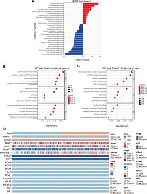 A Novel Integrated Metabolism-Immunity Gene Expression Model Predicts the Prognosis of Lung Adenocarcinoma Patients